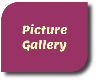 Picture Gallery