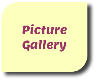 Picture Gallery