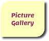 Picture Gallery